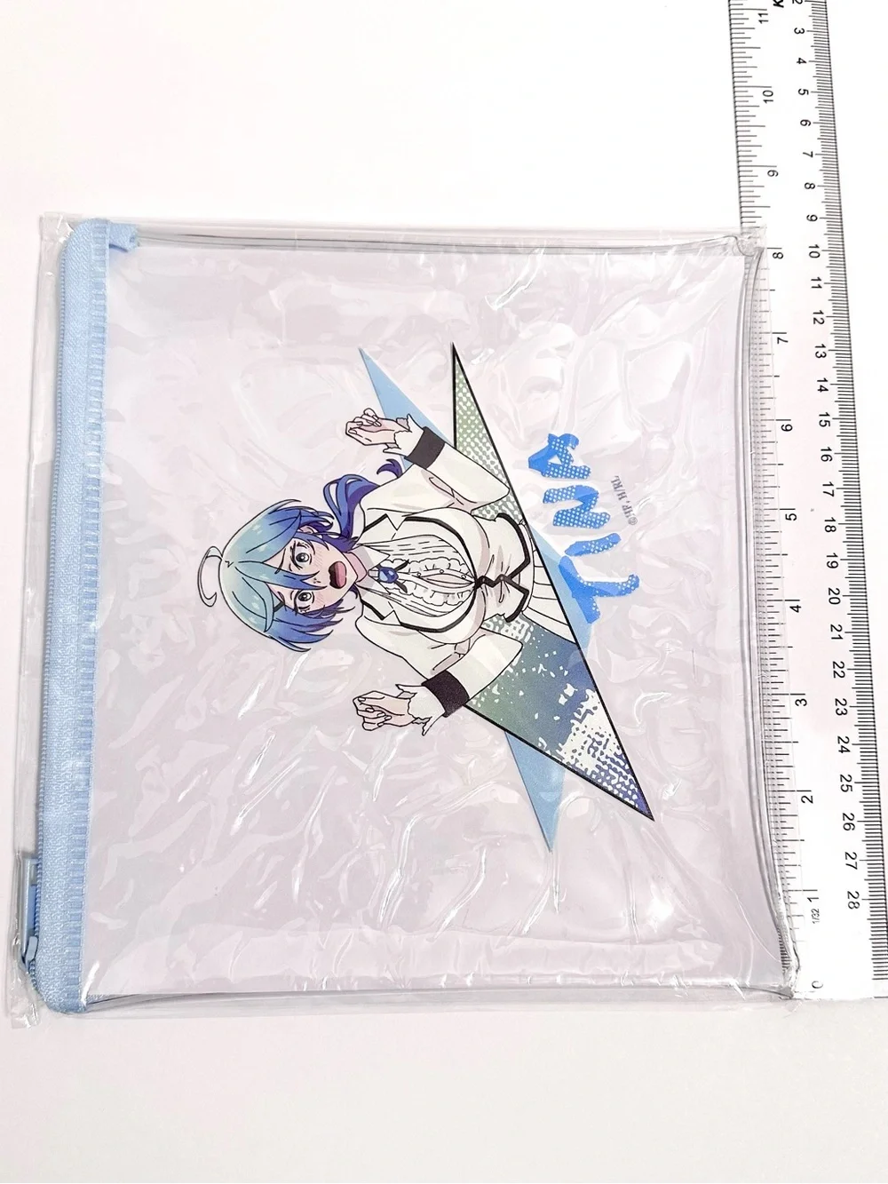 Rock Is a Lady's Modesty Clear Pencil Makeup Pouch with bonus postcard - Tina